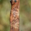 Stabilized Spalted Maple Knife Handle by Christopher Camacho, Gaston, OR