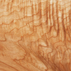 Big Leaf Maple (Curly Figure) sample image