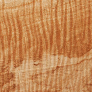 Big Leaf Maple (Fiddleback Figure) sample image